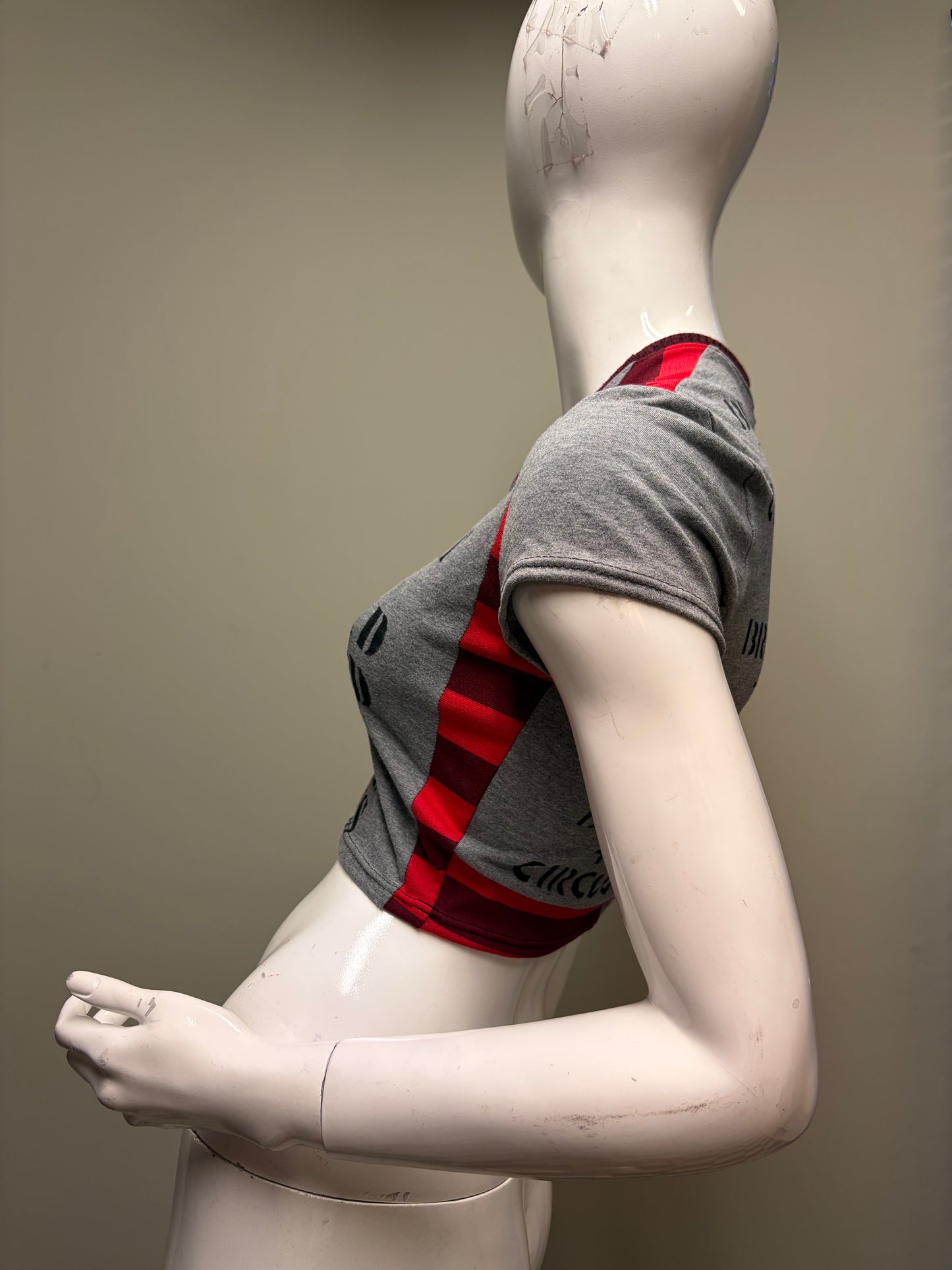 ALLEY VANDAL - Crop Top